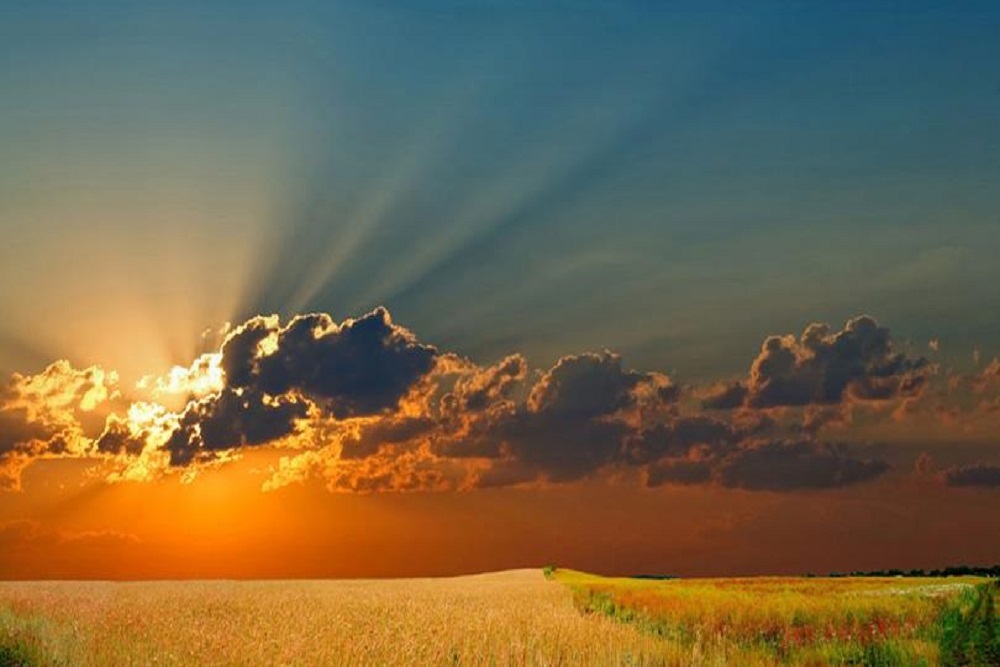 GREAT AMERICAN CROP INSURANCE Biofuels to House Octane