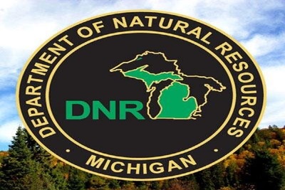 Medium dnr