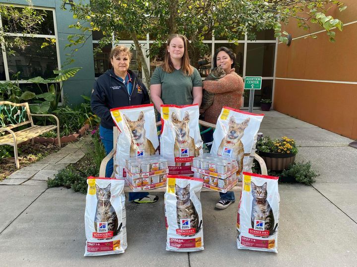 319633255 709007367281005 7718838244676526310 n