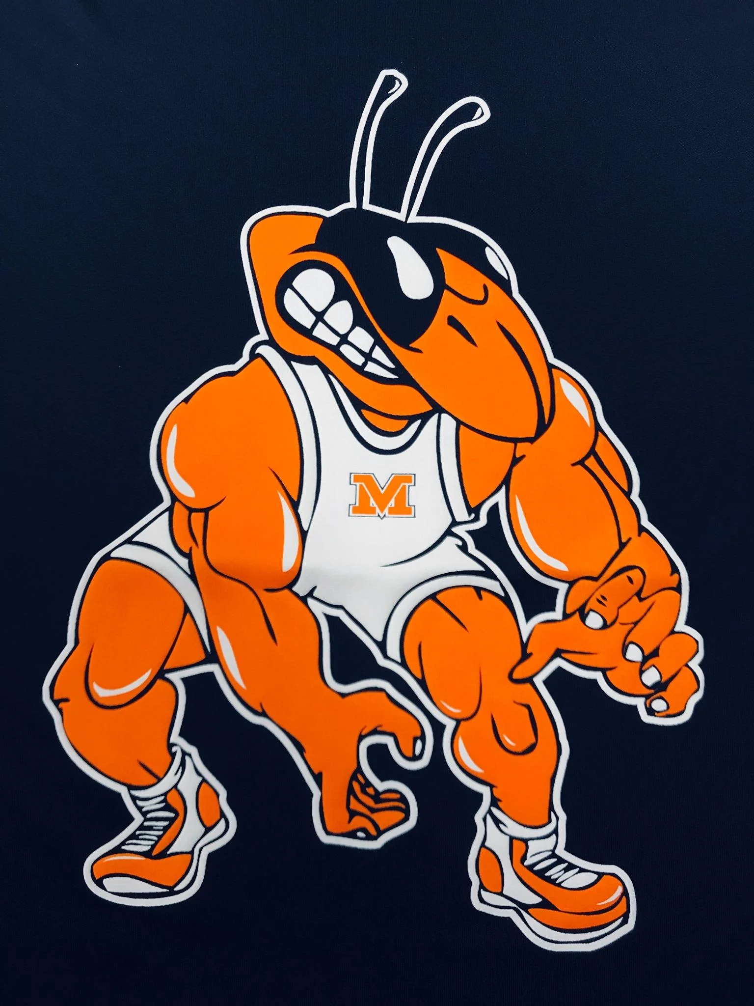 Webp mvbwrestling