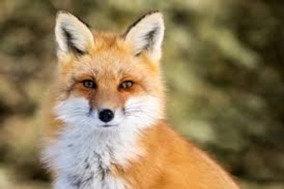 Medium img 30122018 142733 (1000 x 667 pixel)