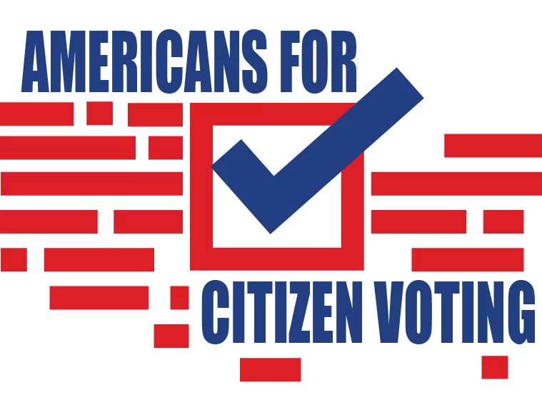 Majority of Texans support citizen only voting, poll shows - Vimarsana News