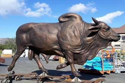 Medium 246235688 4542176305868065 5937636654067784010 n