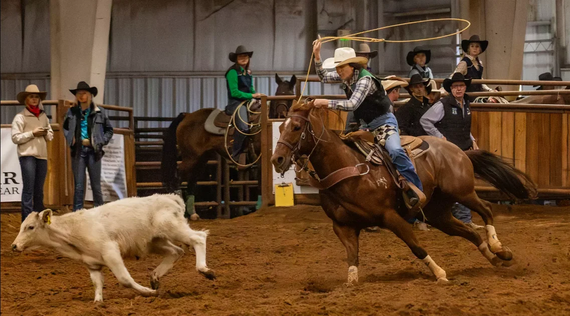 Eastern New Mexico University rodeo prepares for final fall contest at Clarendon College