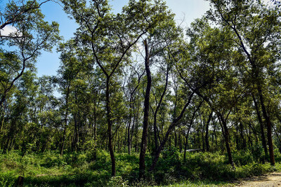 Medium 37821875364 d5696fe7a0 b