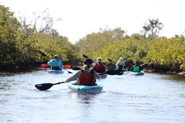 334101621 855567398866240 1272022719361569211 n