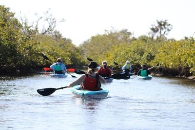 Medium 334101621 855567398866240 1272022719361569211 n