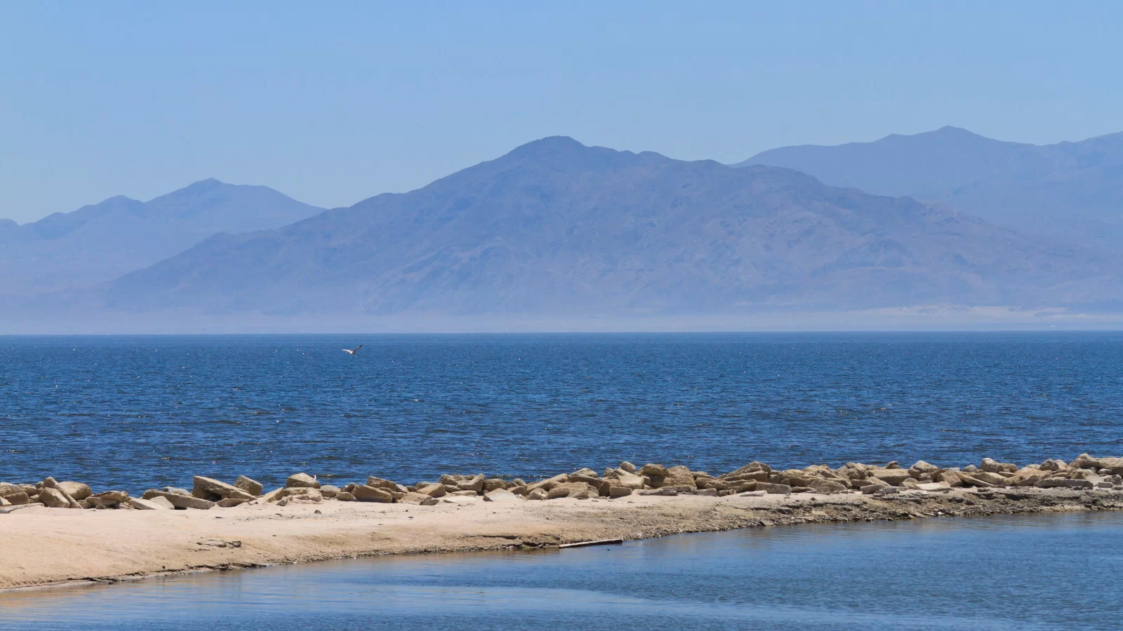 Webp saltonsea