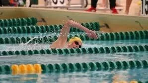 Medium prrgm7yy6234v5tt1aew0v969nlh