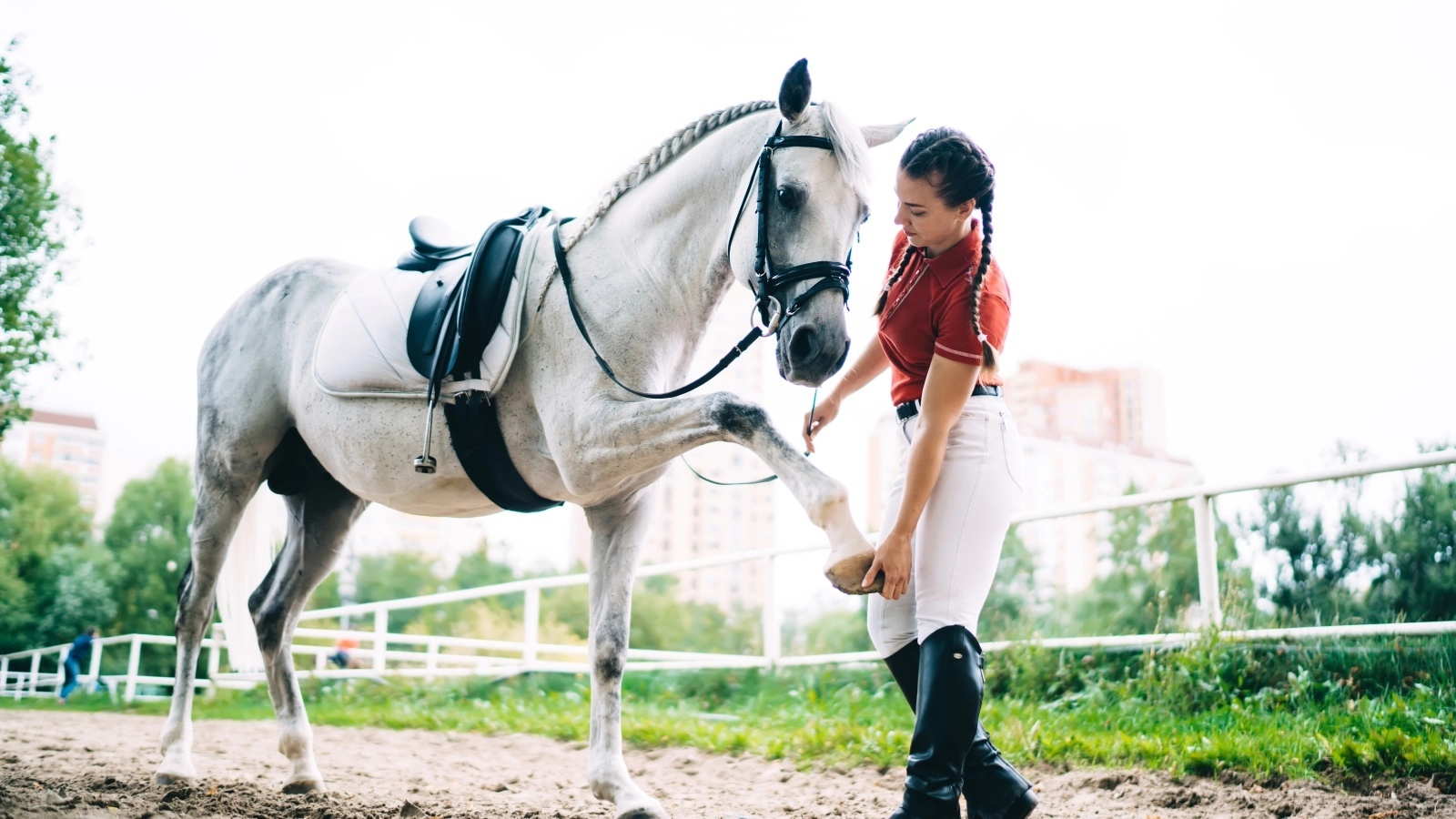 Webp adobestock 373513460