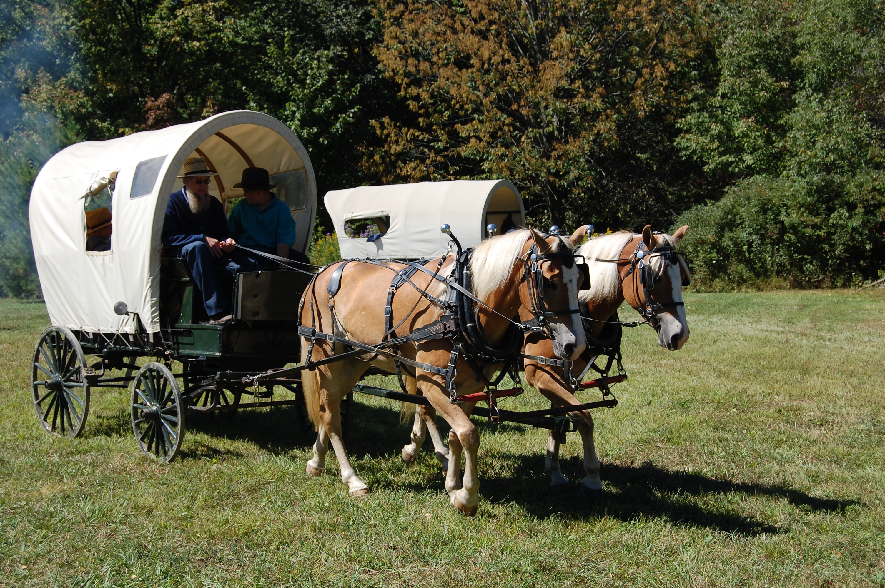 Log cabin days denise hess 02