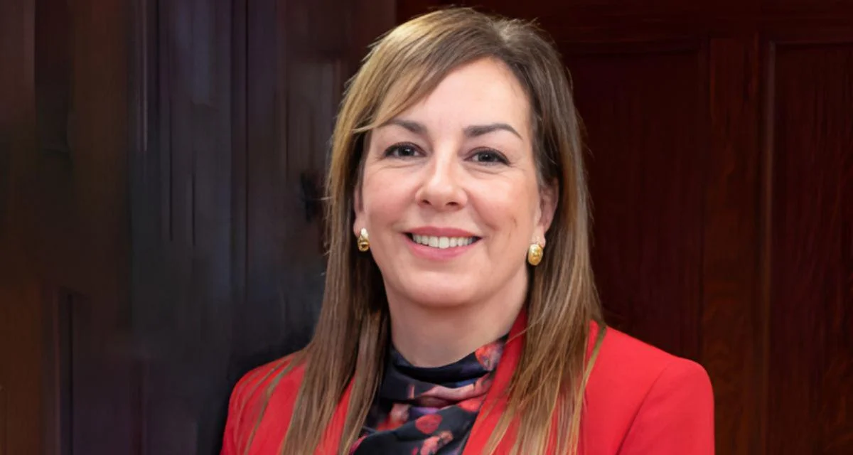 St. Louis Symphony Orchestra plans Tina Turner tribute concert with support from CITY SC