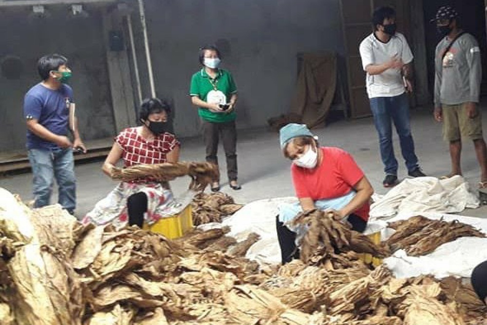 National Tobacco Administration Profile Tobacco News Wire