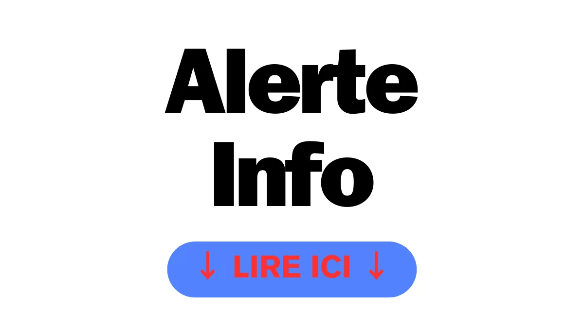 CryptoDaily