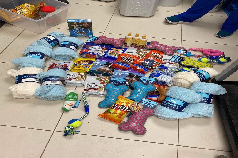 274701726 4818569211554015 803940461931934140 n