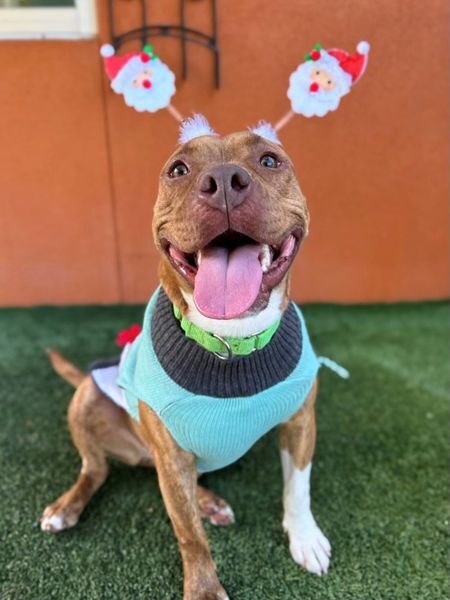 320361507 671742204363265 6939110541531372880 n