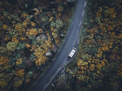 Medium tree forest road van