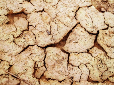 Medium drain