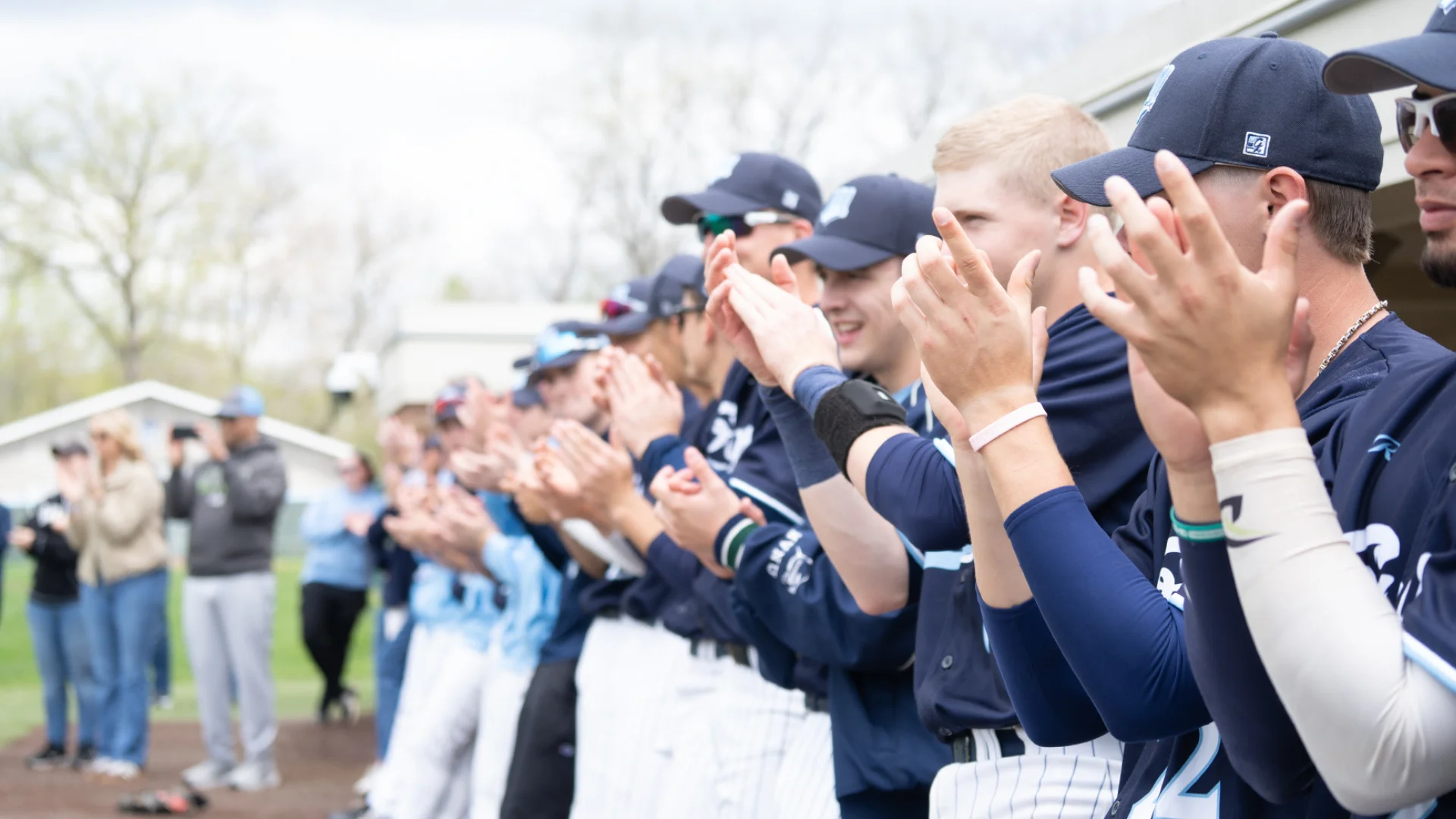 Webp baseball