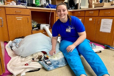 Medium 277300146 4899168386827430 1498857340639352310 n