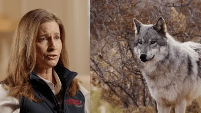 Medium margaret byfieldasl wolf  andrew kerr