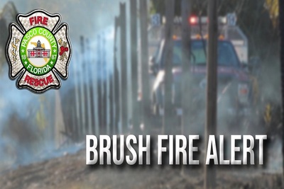 Medium 273241154 233343928988947 2901786631927224018 n