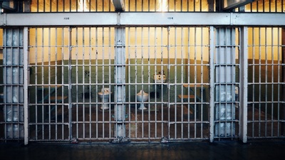 Medium prisoncells
