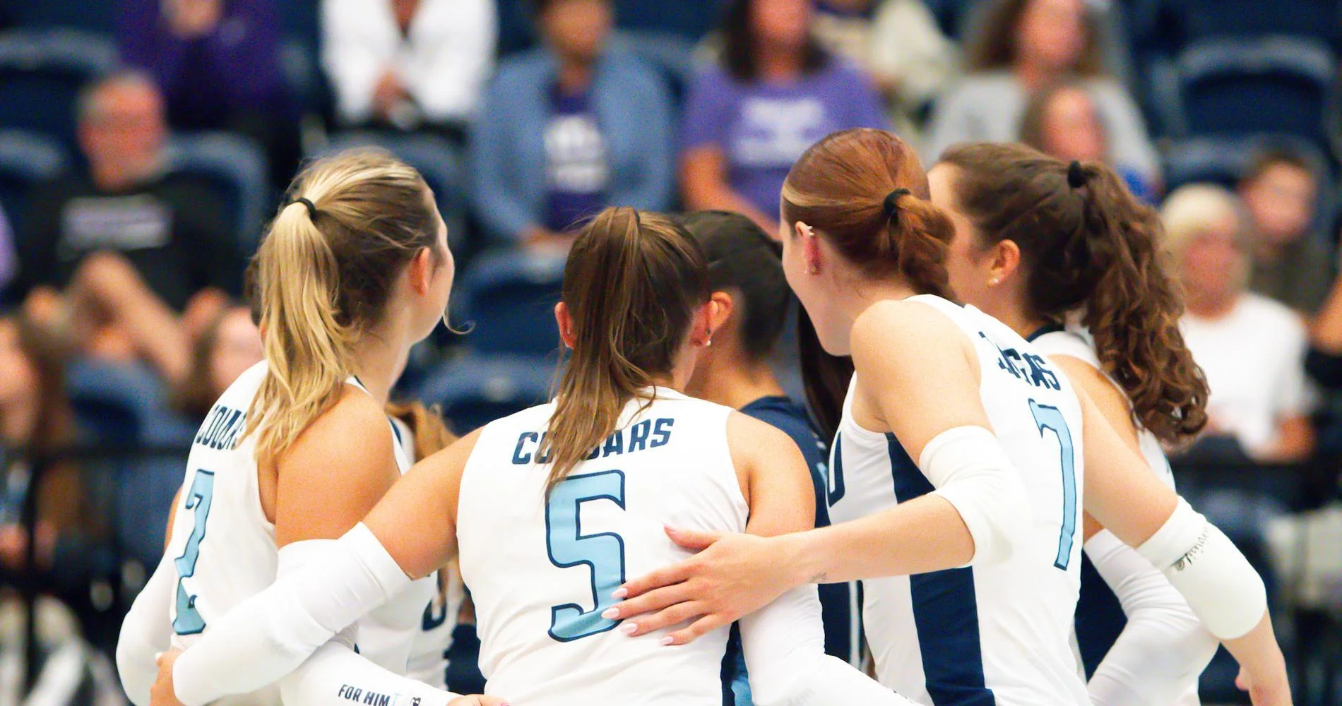 Webp wvb