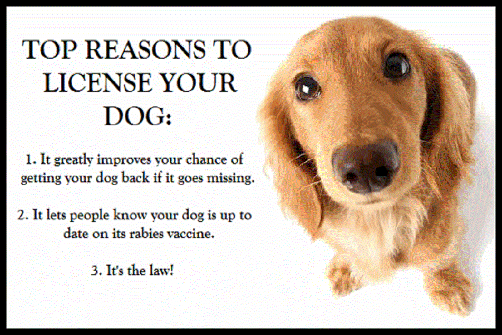 Licensing