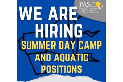 Medium 279666437 4964686120311907 9000929099684265843 n