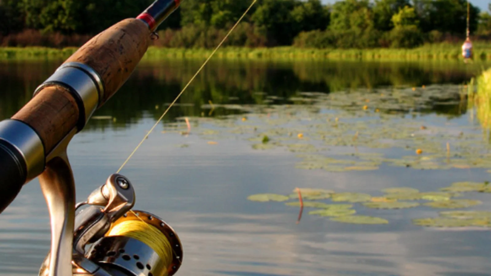 Webp fishing tjevans