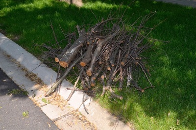 Medium brush pick up