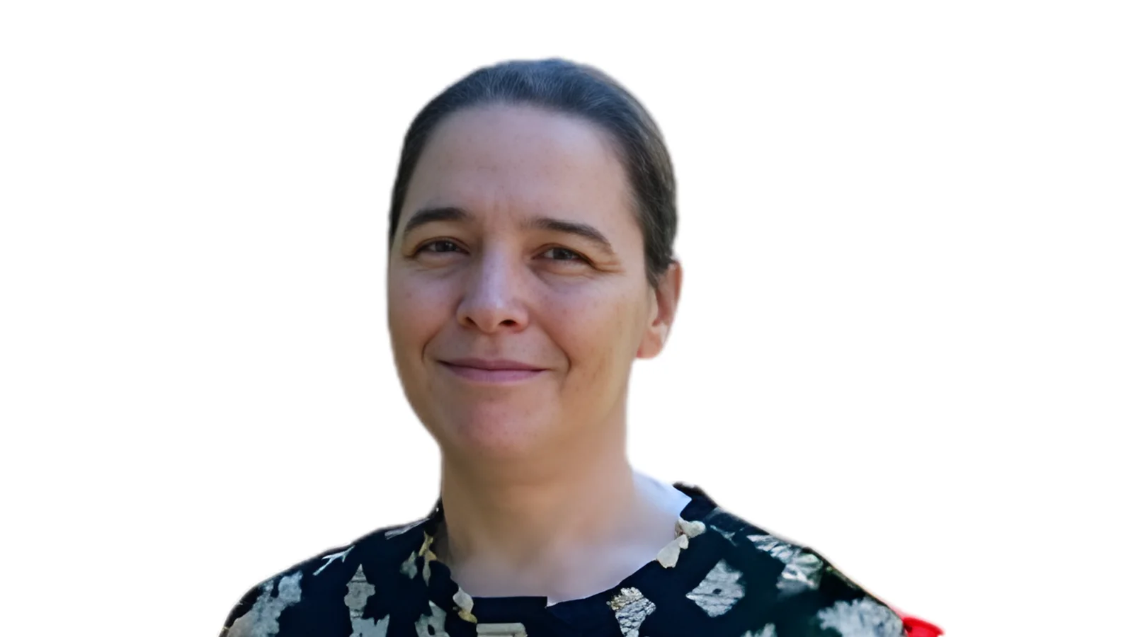 Dickinson State University professor publishes works on mythology and literary analysis