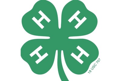 Medium 278855709 310900667885003 3366140134906158653 n