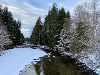 Medium schedulemeeting