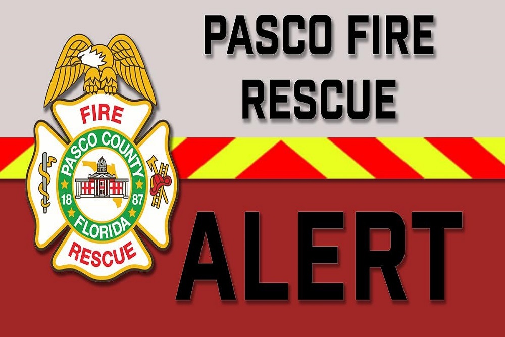 272677627 230279385962068 741337679614895094 n