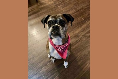 Medium 274945648 4832588180152118 2960365861892757994 n