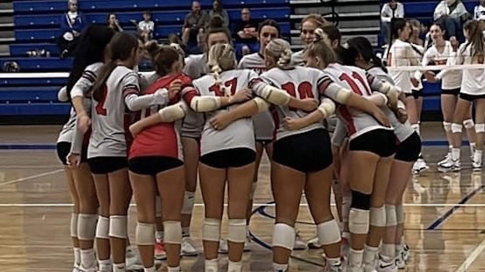Webp uticavball