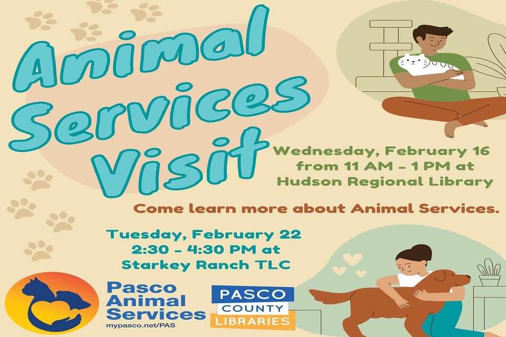 273711859 4772871949457075 4512432779456990901 n