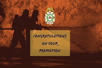 Medium 245912203 163740732615934 4438377510384651267 n