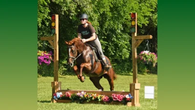Medium horse