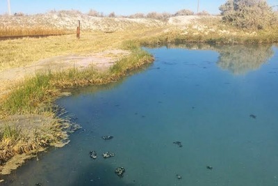 Medium img 11062020 231811  1000 x 667 pixel