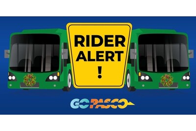 Medium 278944640 310361284605608 7771659554162190877 n