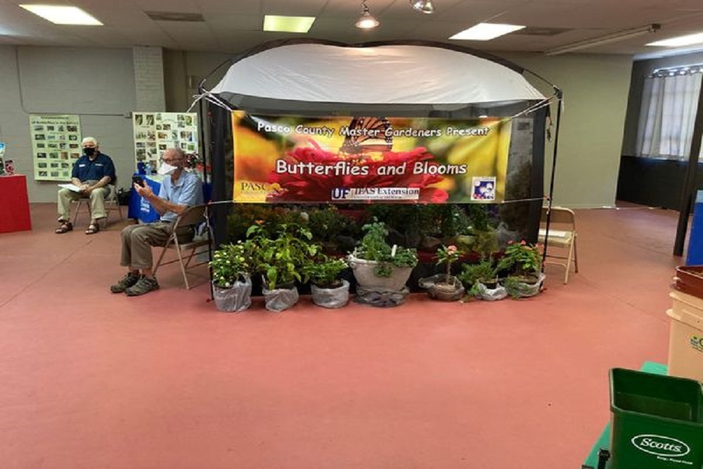 274955577 4950065378416150 3493646602559130549 n