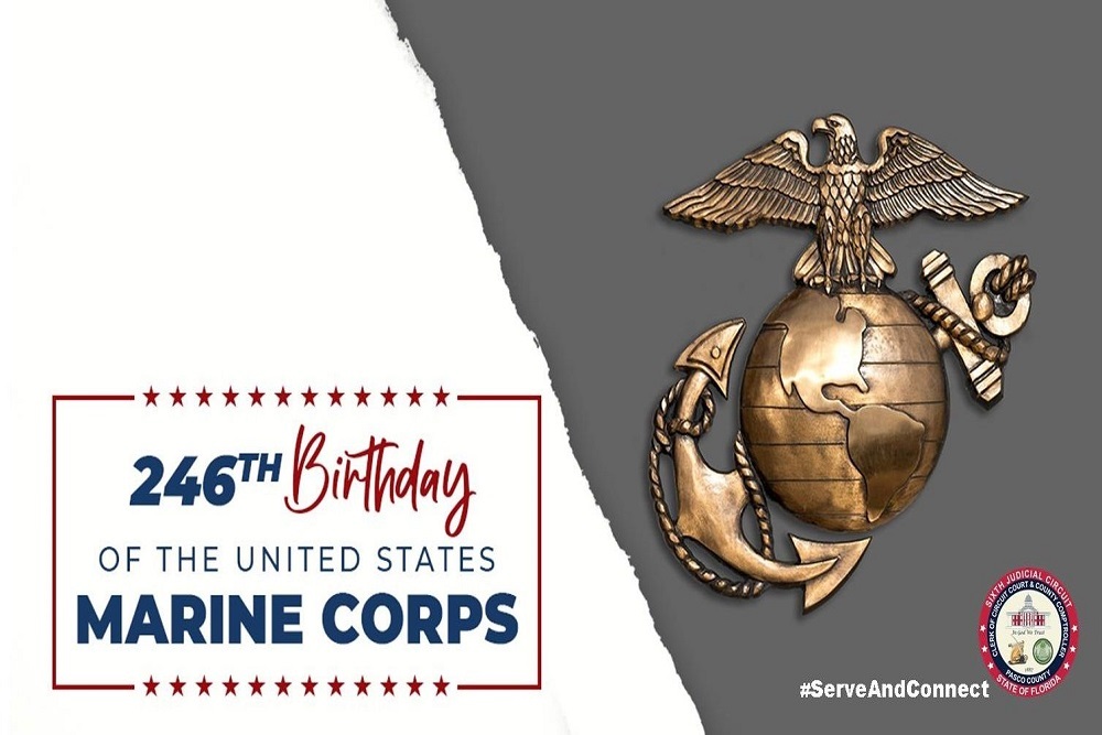 255511324 2691936084447172 3063916921221198027 n