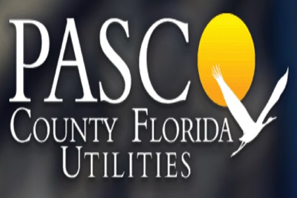 250276869 192889936352744 1304356066403001902 n