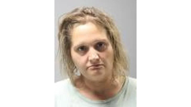 2 people booked on drug charges in Wapello County on Aug. 3