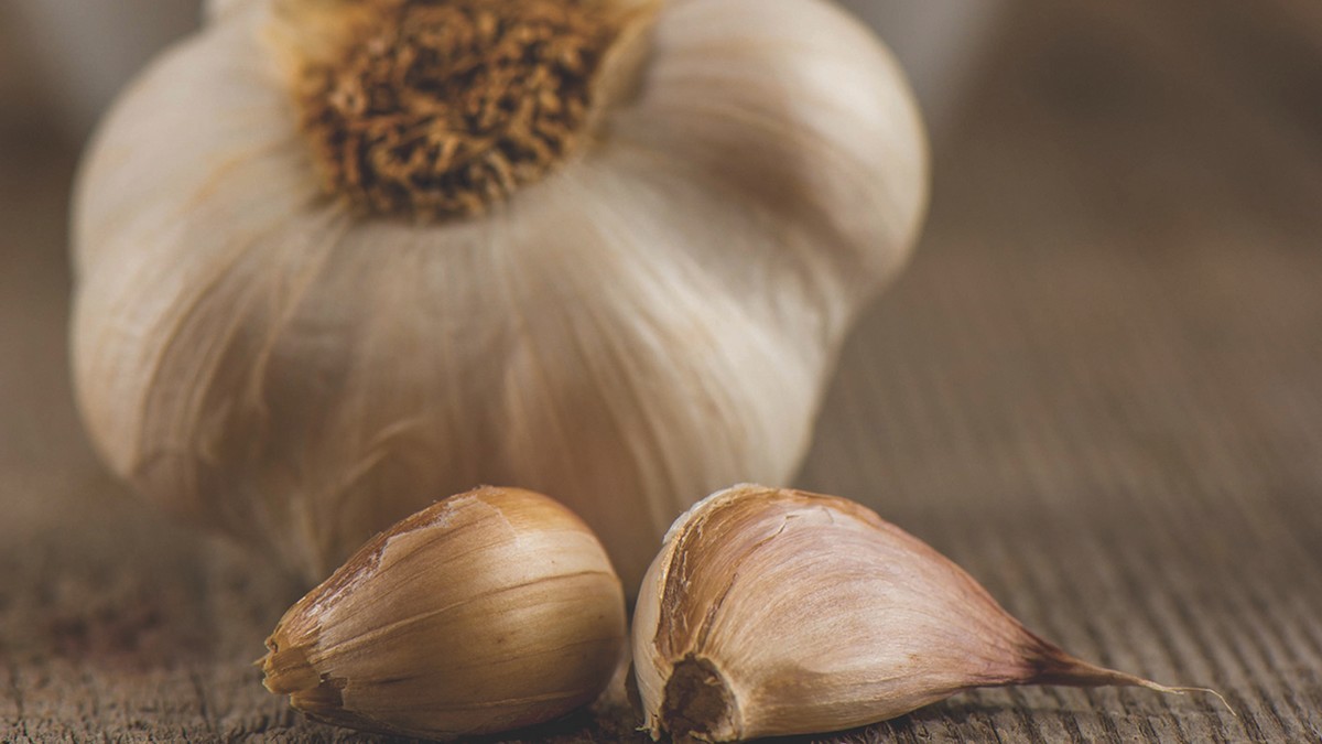 Garlic