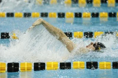 Medium swim jpg