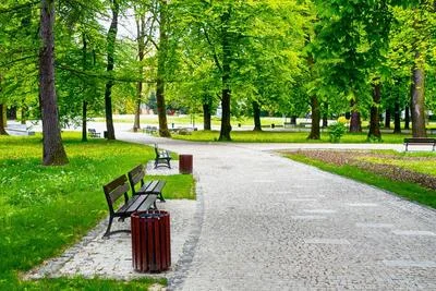 Medium park 13